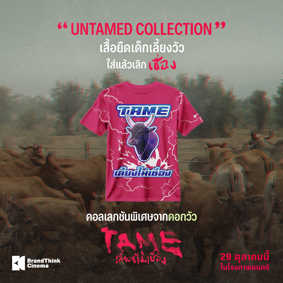 เสื้อยืดเด็กเลี้ยงวัว