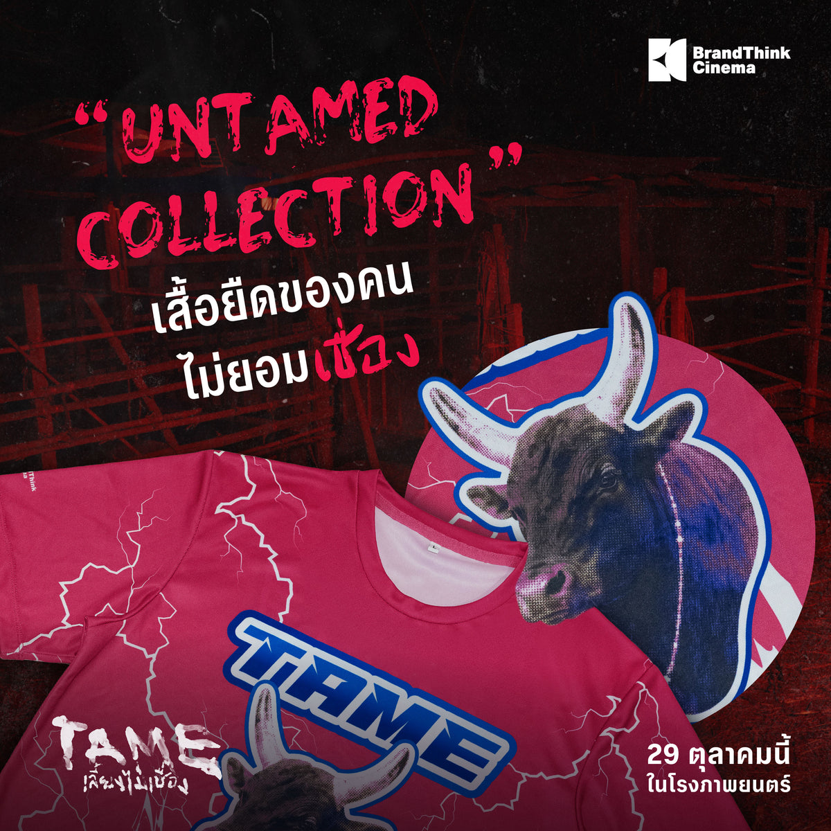 เสื้อยืดเด็กเลี้ยงวัว